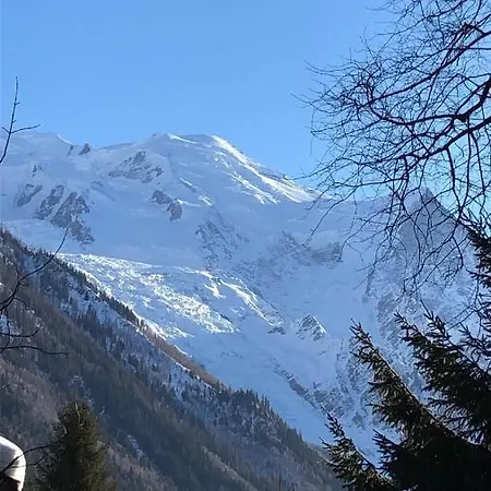 Montblanc 1 A 4 Personnes Apartament *